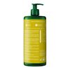 WELEDA Energy Shower Gel Ingwer