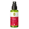 Primavera Winterzauber Raumspray Bio